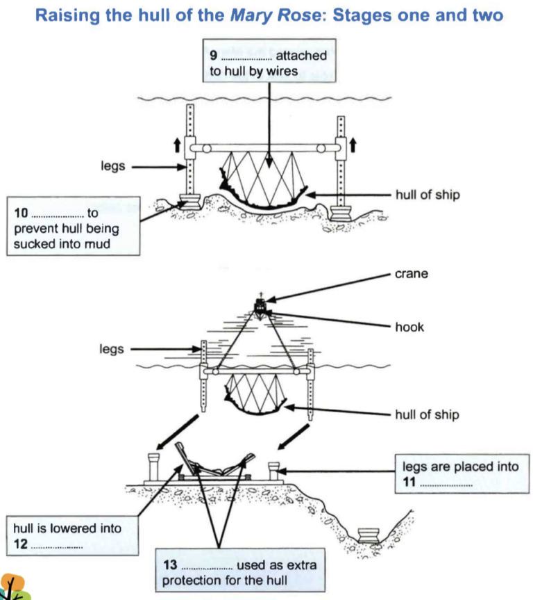 Raising The Mary Rose Reading Answers Pdf Ielts Progress