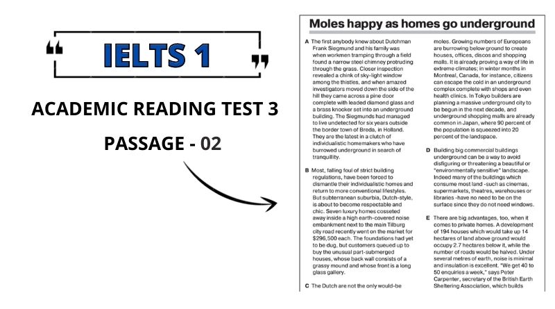 Moles Happy as Homes go Underground Reading Answers