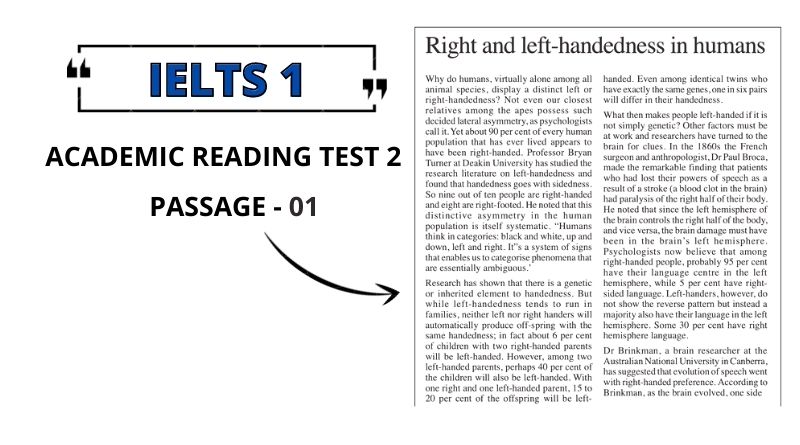 Right & Left-handedness in humans: Reading Answers