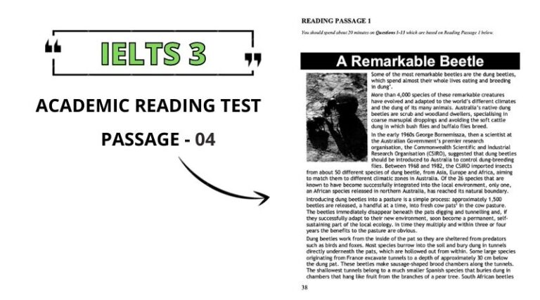 A Remarkable Beetle: Reading Answers