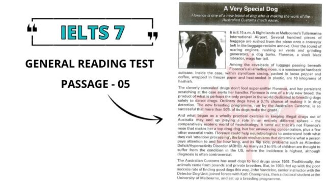 A Very Special Dog Reading Answers PDF