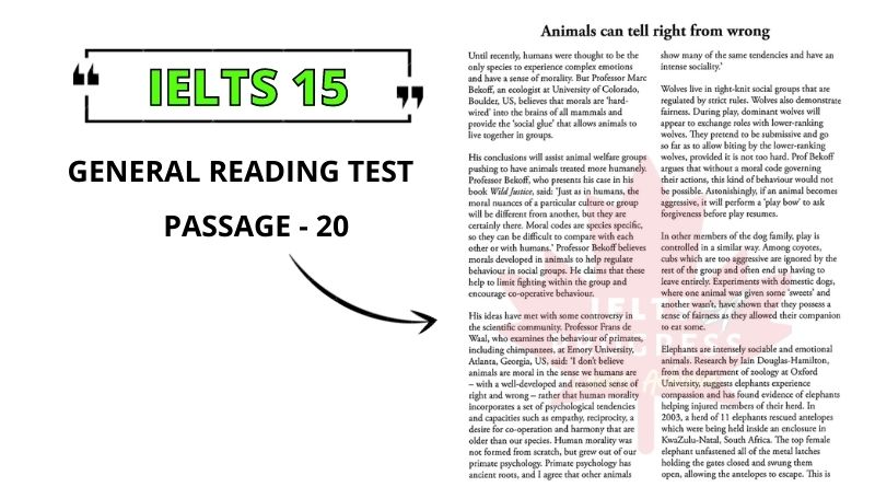 Animals can tell right from wrong reading answers pdf