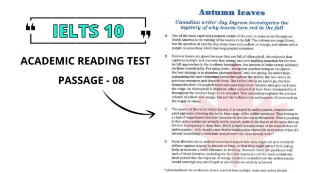 Autumn leaves READING ANSWERS PDF