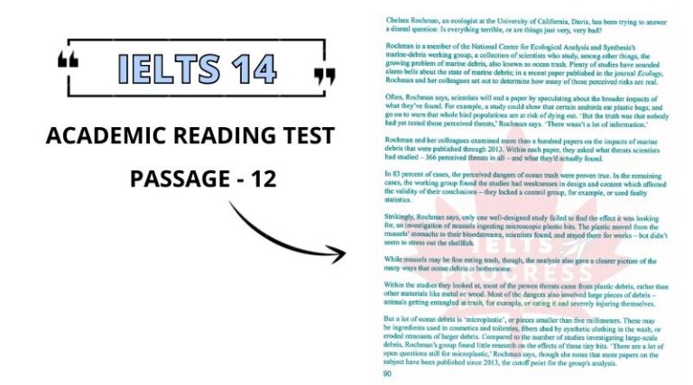 Chelsea Rochman: Reading Answers & PDF