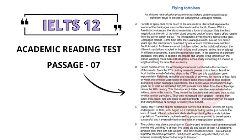 Flying Tortoises reading answers pdf
