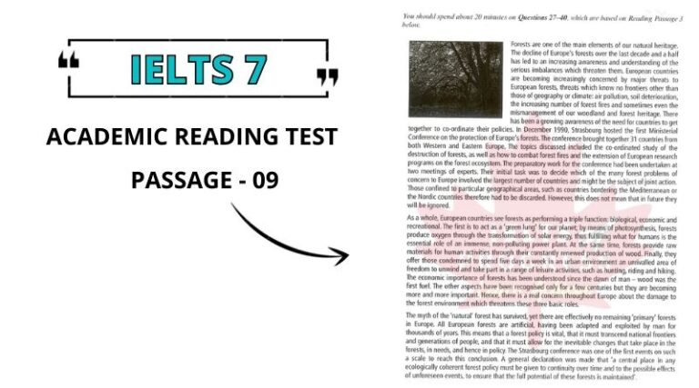 Forests - Our Natural Heritage Reading Answers PDF