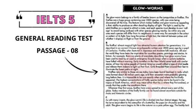 Glow-Worms Reading Answers PDF