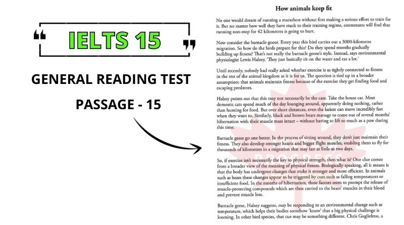How animals keep fit reading answers pdf
