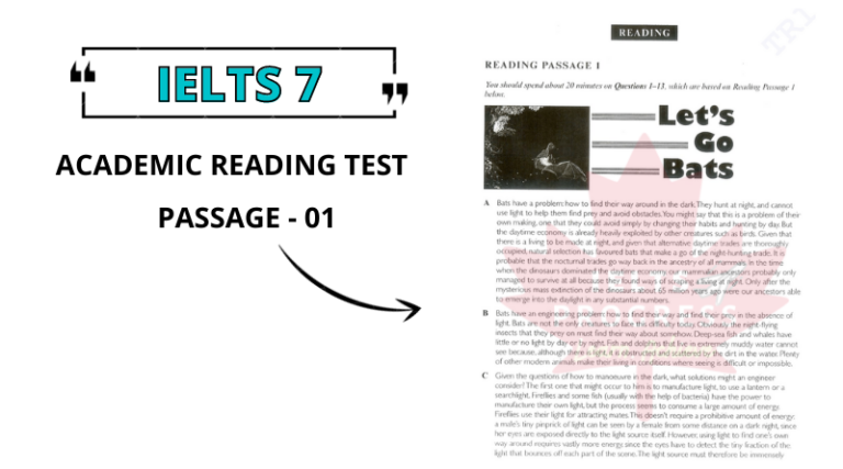 Let’s Go Bats Reading Answers PDF