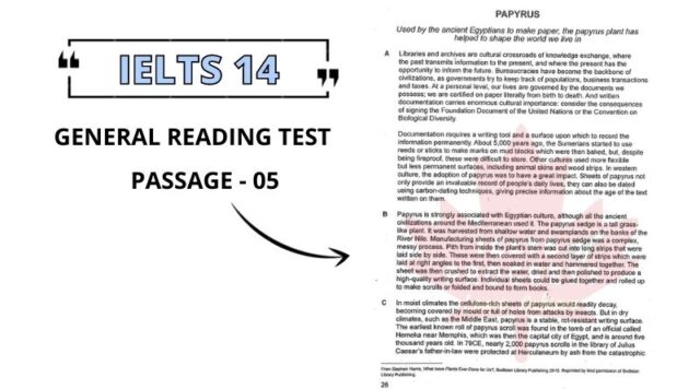 PAPYRUS reading answers pdf