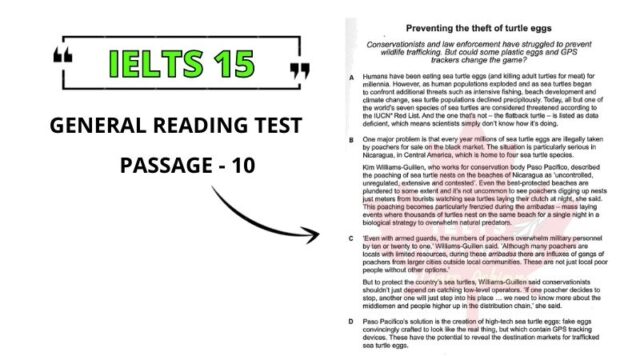 Preventing the theft of turtle eggs reading answers pdf