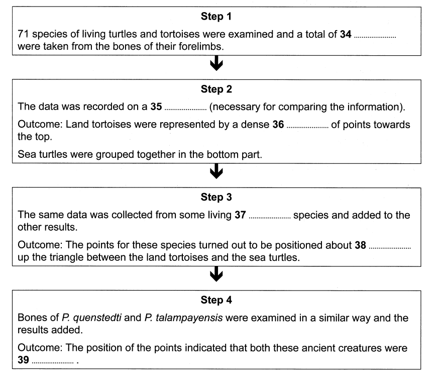 The History of the Tortoise: Reading Answers & PDF