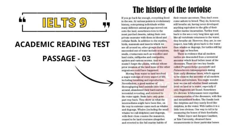 The History of the Tortoise Reading Answers PDF