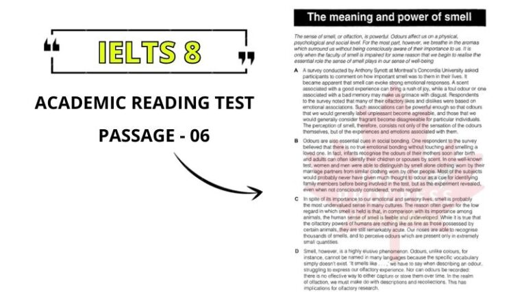 The Meaning and Power of Smell Reading Answers