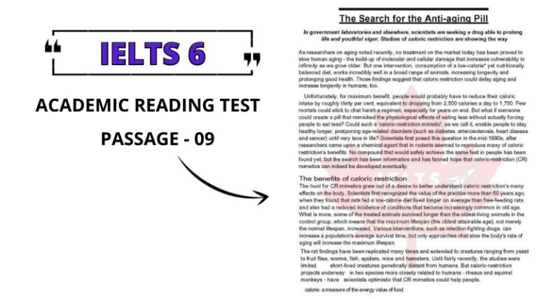 The Search for the Anti-aging Pill Reading Answers PDF