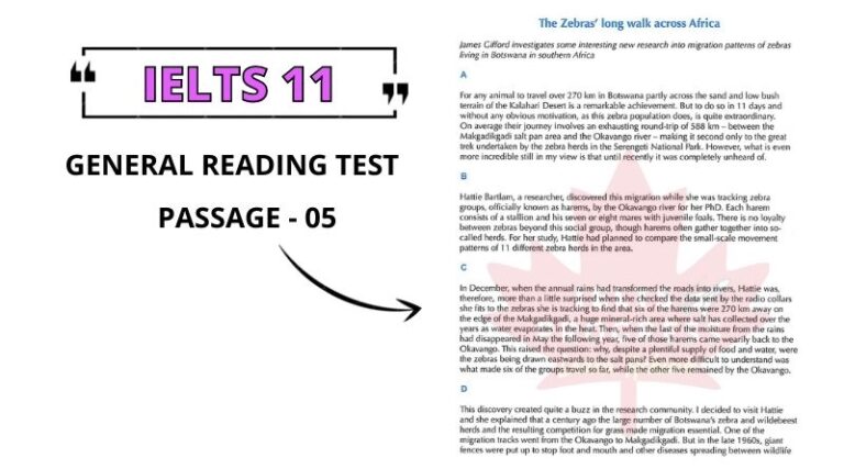 The Zebras’ long walk across Africa: Reading Answers pdf