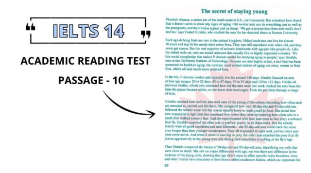 The secret of staying young reading answers pdf