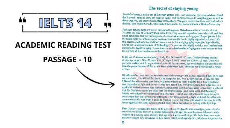 the secret of staying young reading answers pdf