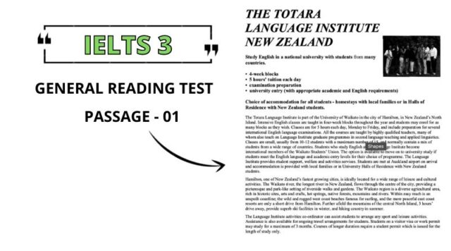 Totara Institute & Ashwood College Reading Answers pdf