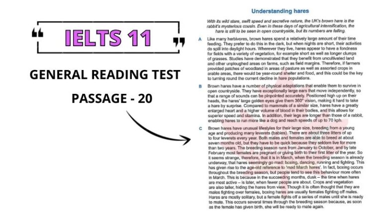 Understanding hares reading answers pdf