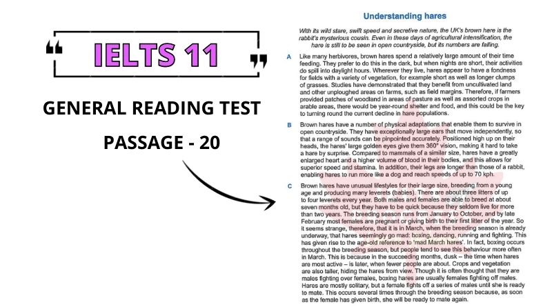 Understanding hares reading answers pdf